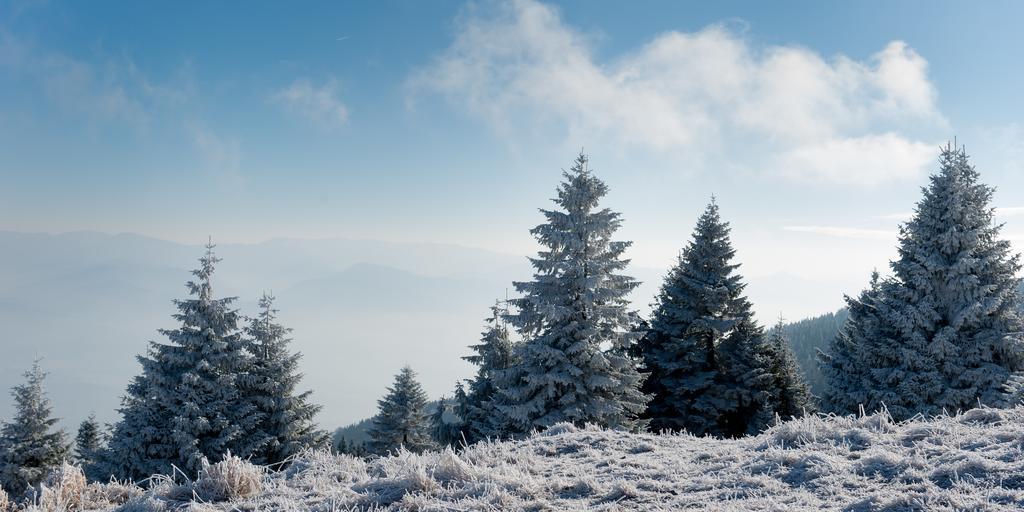 Penzion Ladoven Skvela Kuchyna A Rodinna Atmosfera Martin Extérieur photo